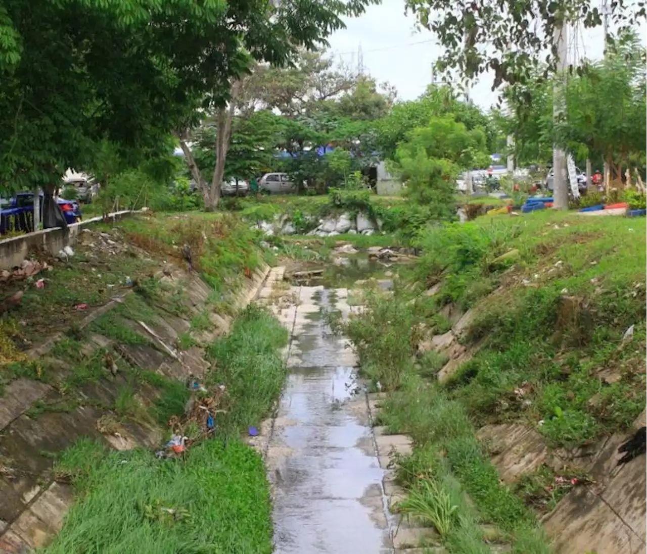 ¿Cuándo arrancan las obras en el canal de El Campestre?