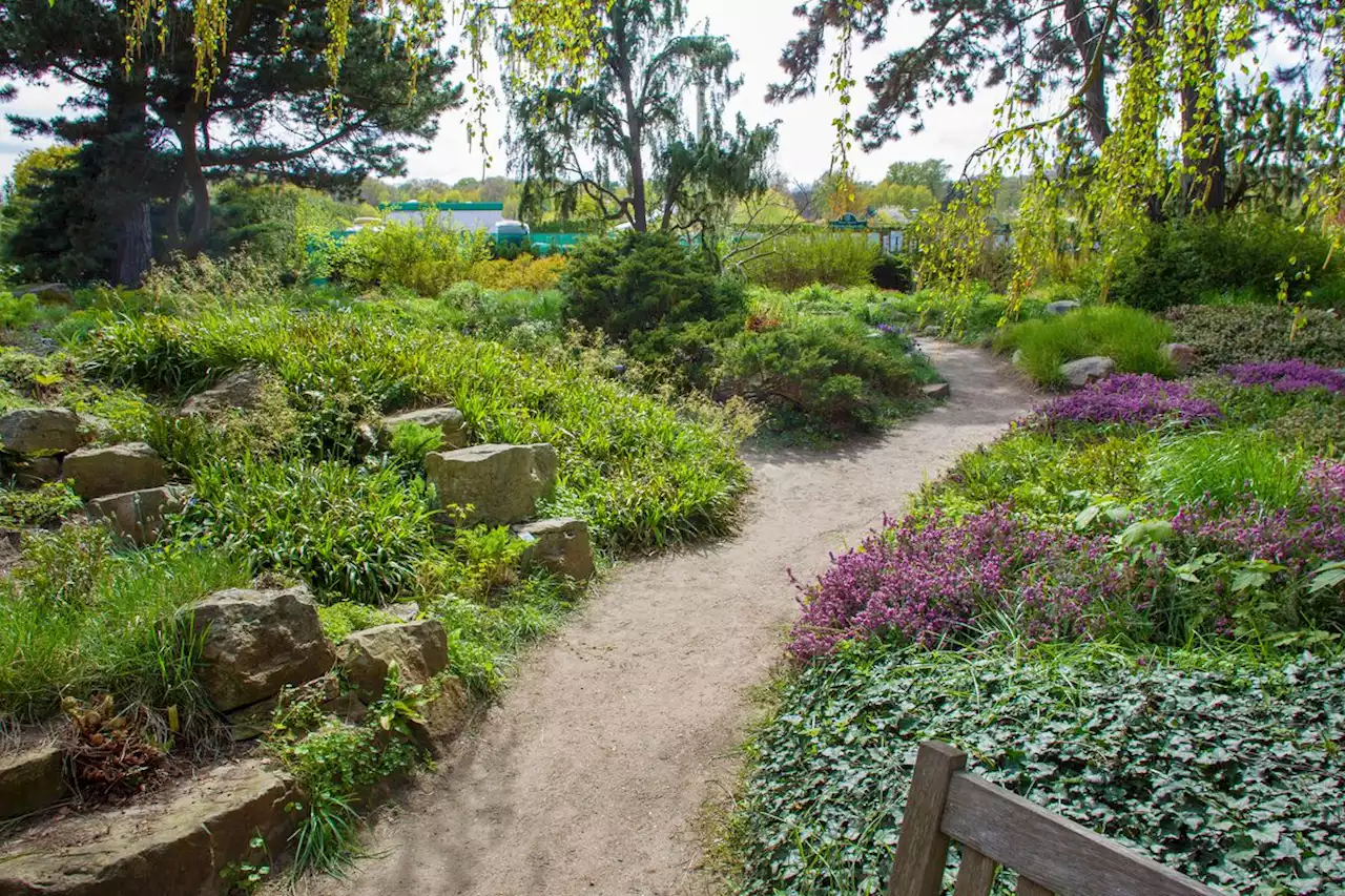 How your garden can help fight climate change