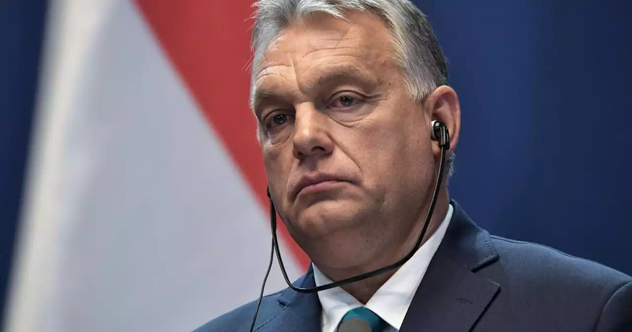 Quanto piacciono a Putin gli interessi di Orbán per la Transcarpazia