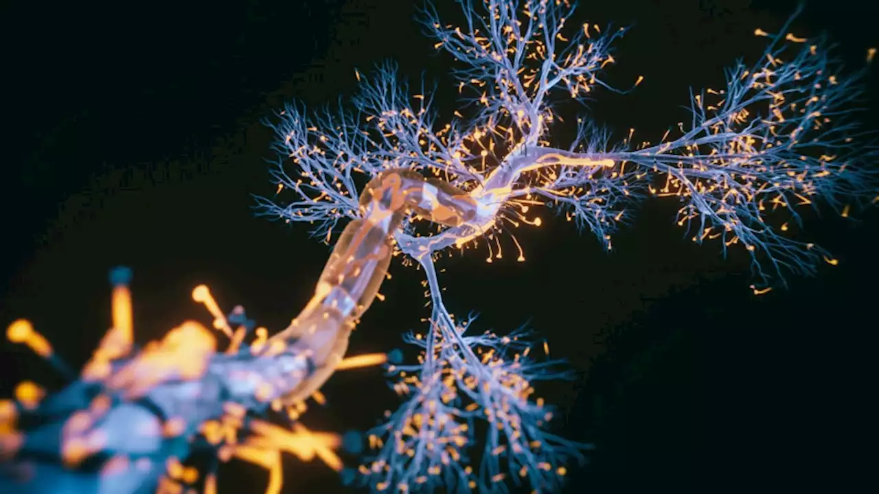 Designer neurons bring hope for treatment of Parkinson’s disease