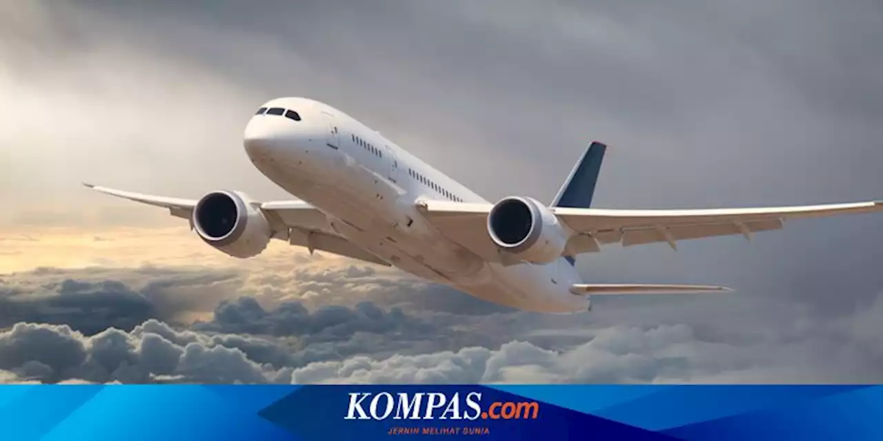 KKB Serang Bandara Ilaga, Papua, Operasional Dihentikan, 4 Pesawat Batal Mendarat