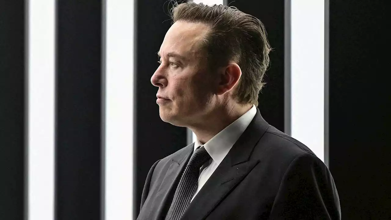 Elon Musk suspendió la compra de Twitter