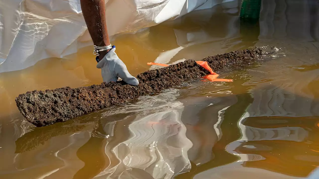 DNA recovery attempt begins on last American slave ship