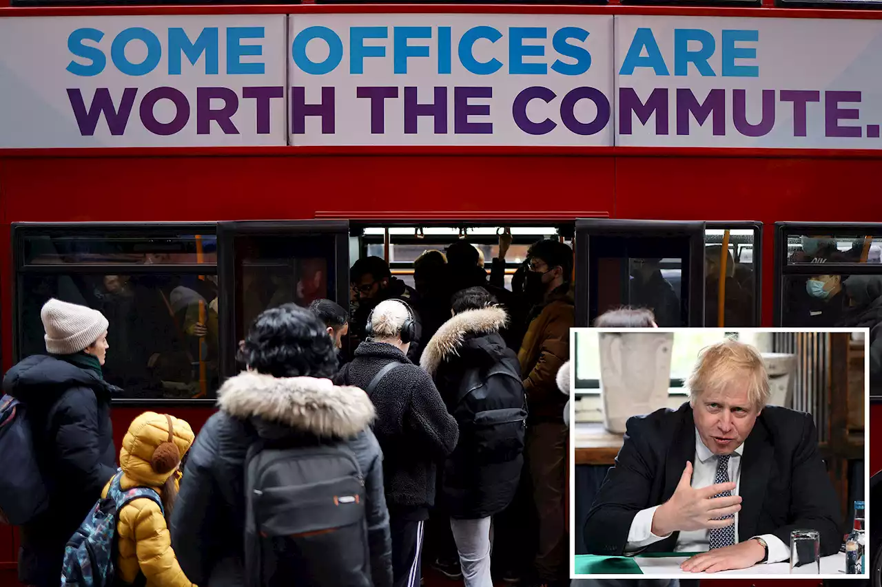 Boris Johnson calls to scrap 91,000 jobs to combat cost of living crisis