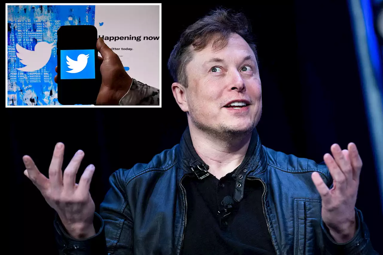 Elon Musk says Twitter deal ‘temporarily on hold’