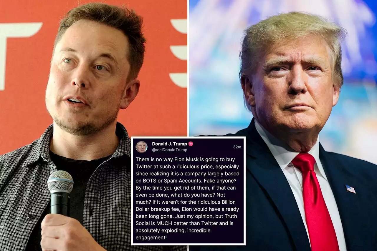 Trump says Elon Musk won’t buy Twitter at ‘ridiculous price’