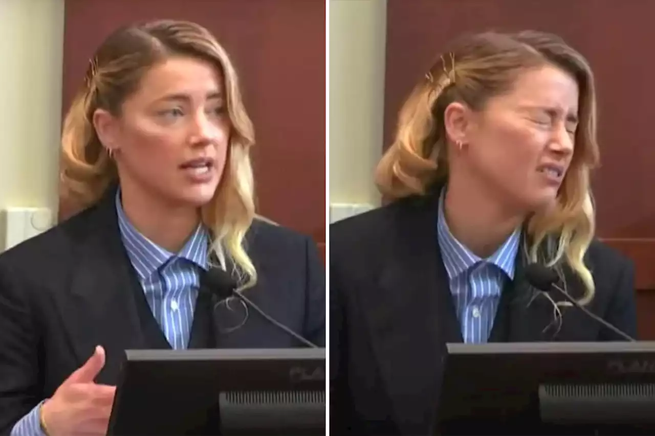 Amber Heard’s ‘My dog stepped on a bee’ testimony mocked on TikTok