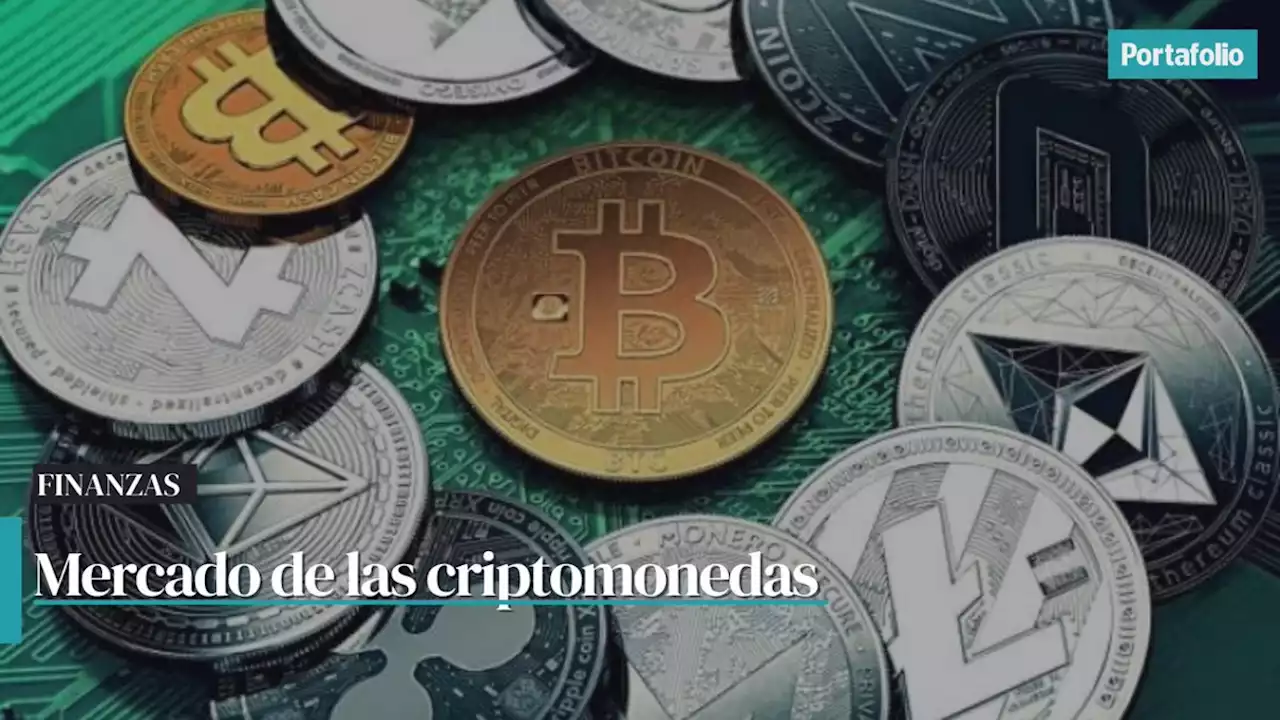 La millonaria pérdida que tuvo el mercado cripto en un solo día