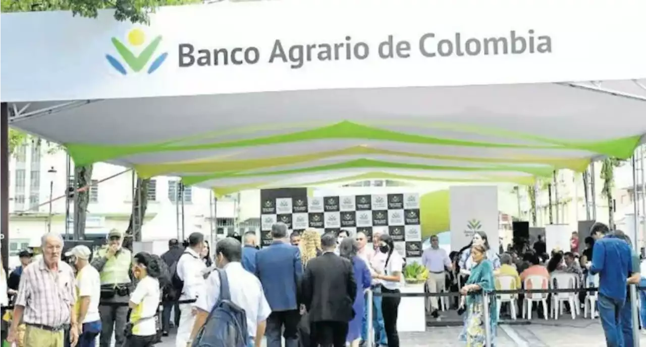 Por invierno, Banco Agrario da prórroga a créditos en el departamento de Tolima - Pulzo