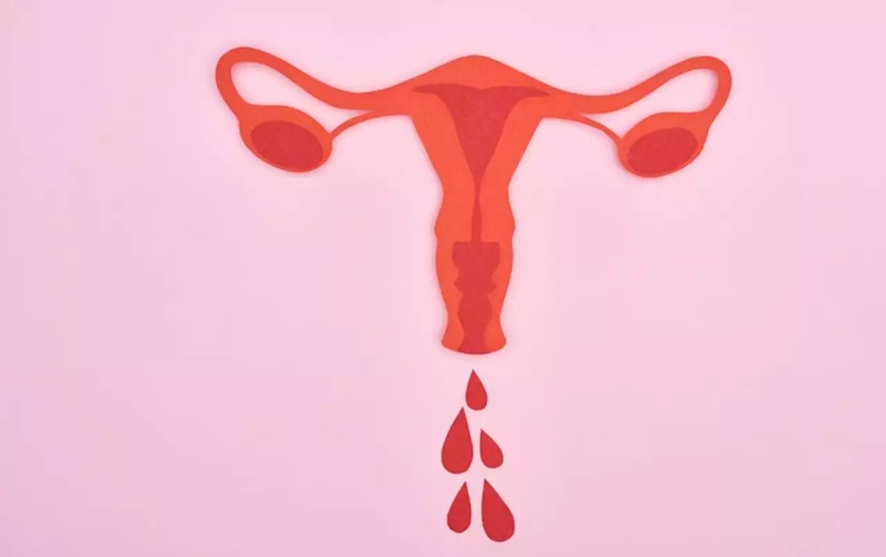 To Better Understand Women&rsquo;s Health, We Need to Destigmatize Menstrual Blood