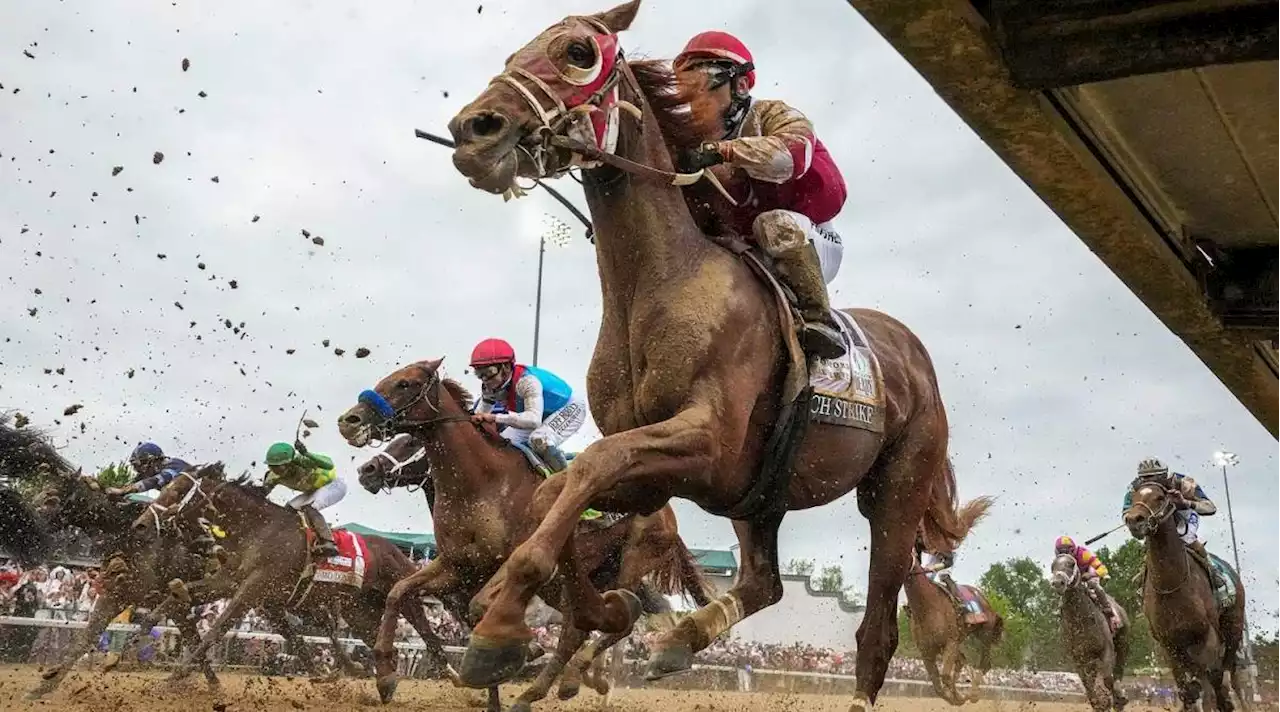 Kentucky Derby Sensation Rich Strike to Skip the Preakness