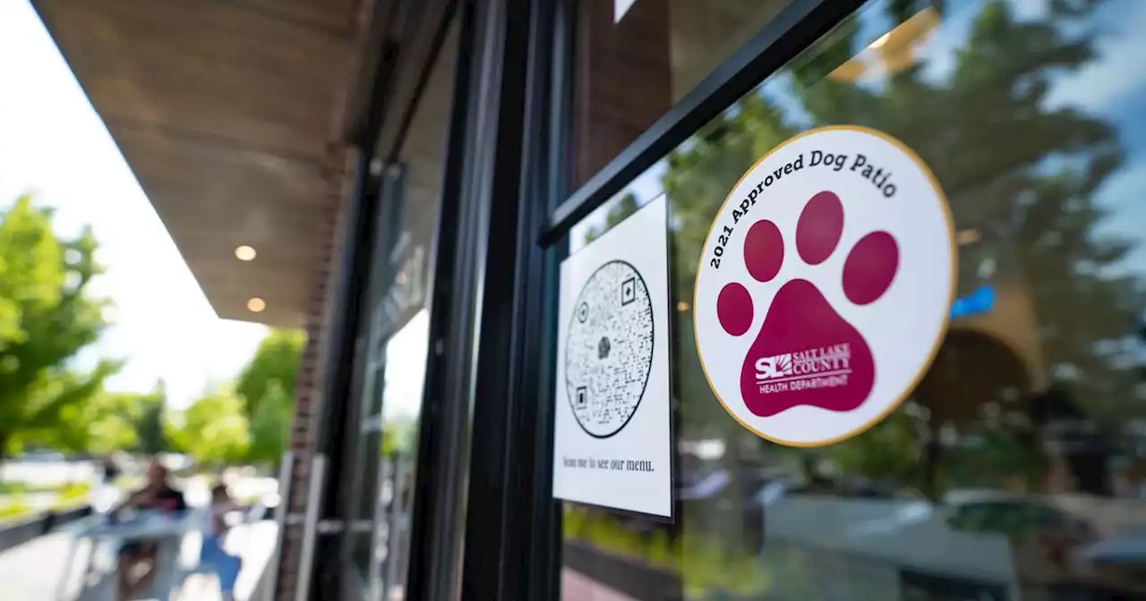 Here are the Salt Lake County restaurants where your dog can sit on the patio