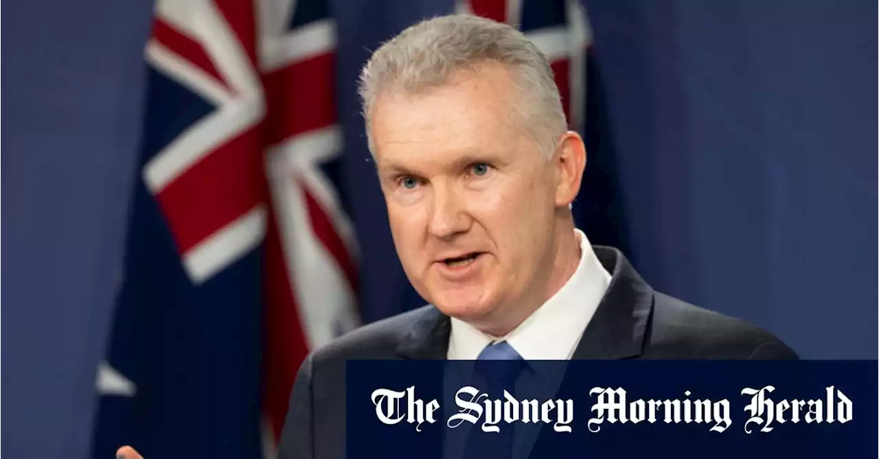 Labor’s Tony Burke backs in Albanese over 5.1 per cent wage hike