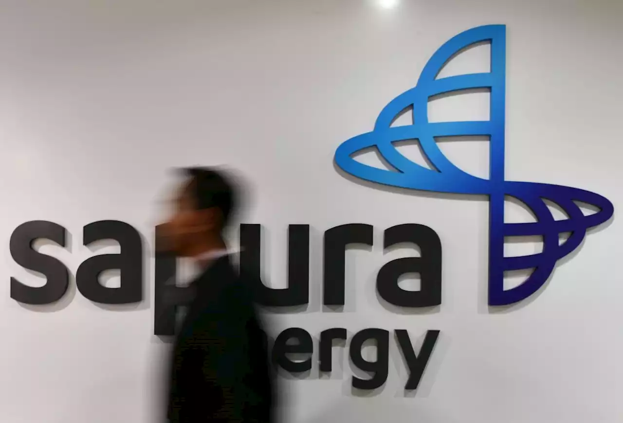 Economists: Forensic audit necessary on Sapura Energy
