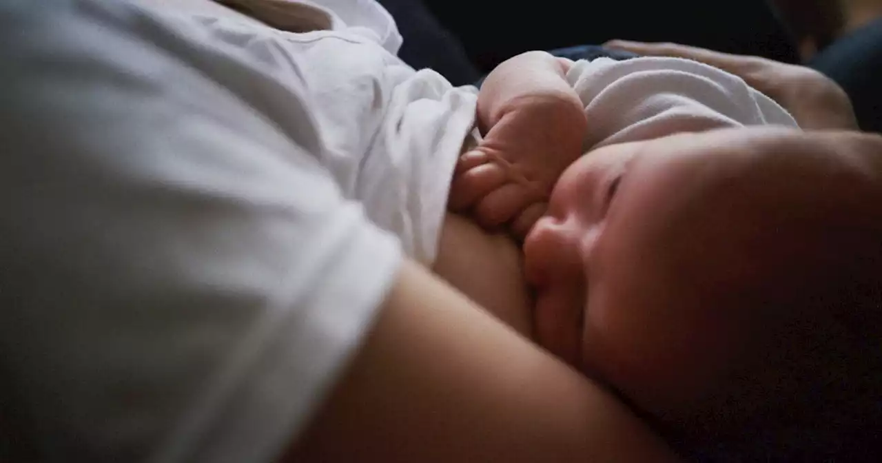 Is breastfeeding a ‘free’ alternative to the baby formula shortage?