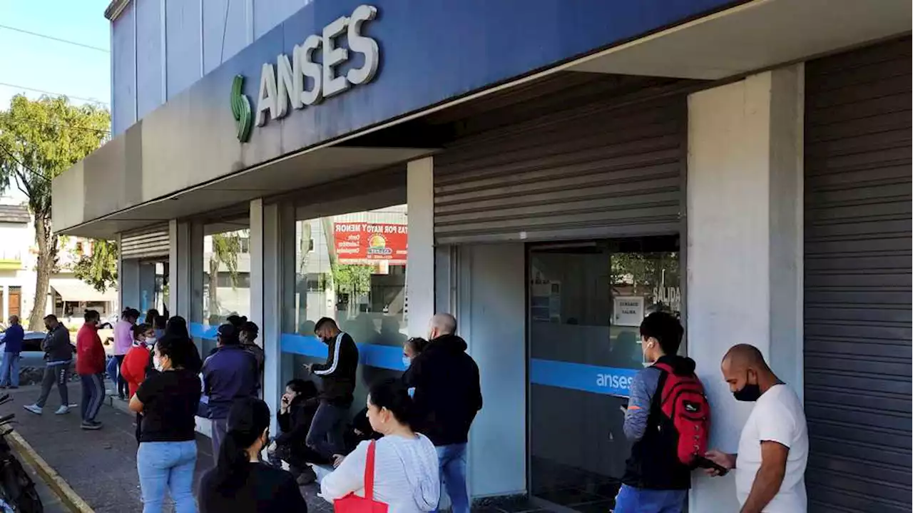 AUH de la ANSES en qué casos y cómo hacer el cambio de titularidad