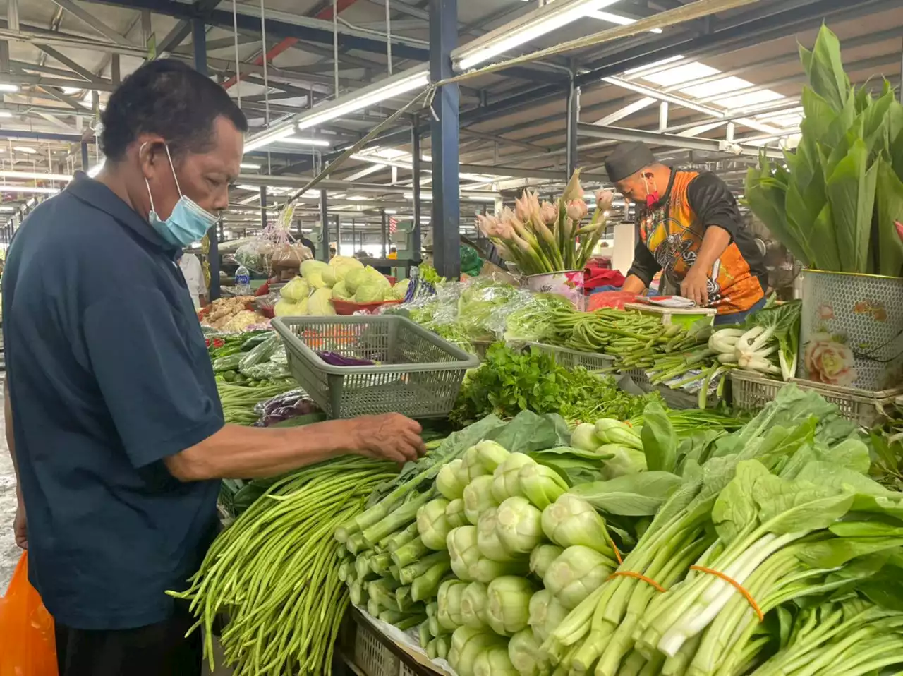 Melaka kekurangan pekebun sayur