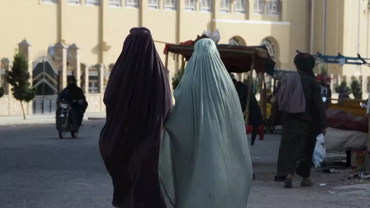 G7 Kutuk Taliban atas Meluasnya Pembatasan terhadap Gerak-gerik Perempuan