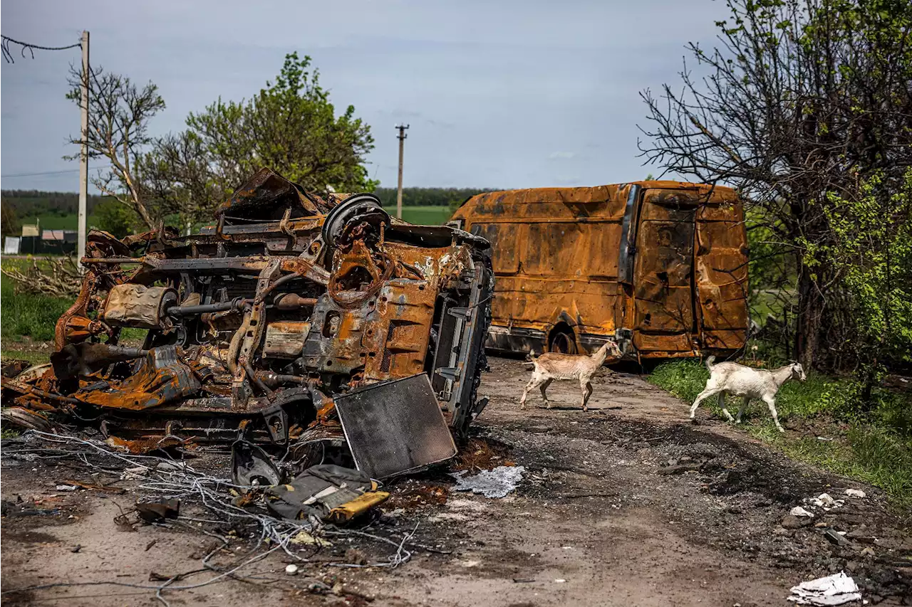 Ucraina, 'Kiev ha vinto battaglia Kharkiv'