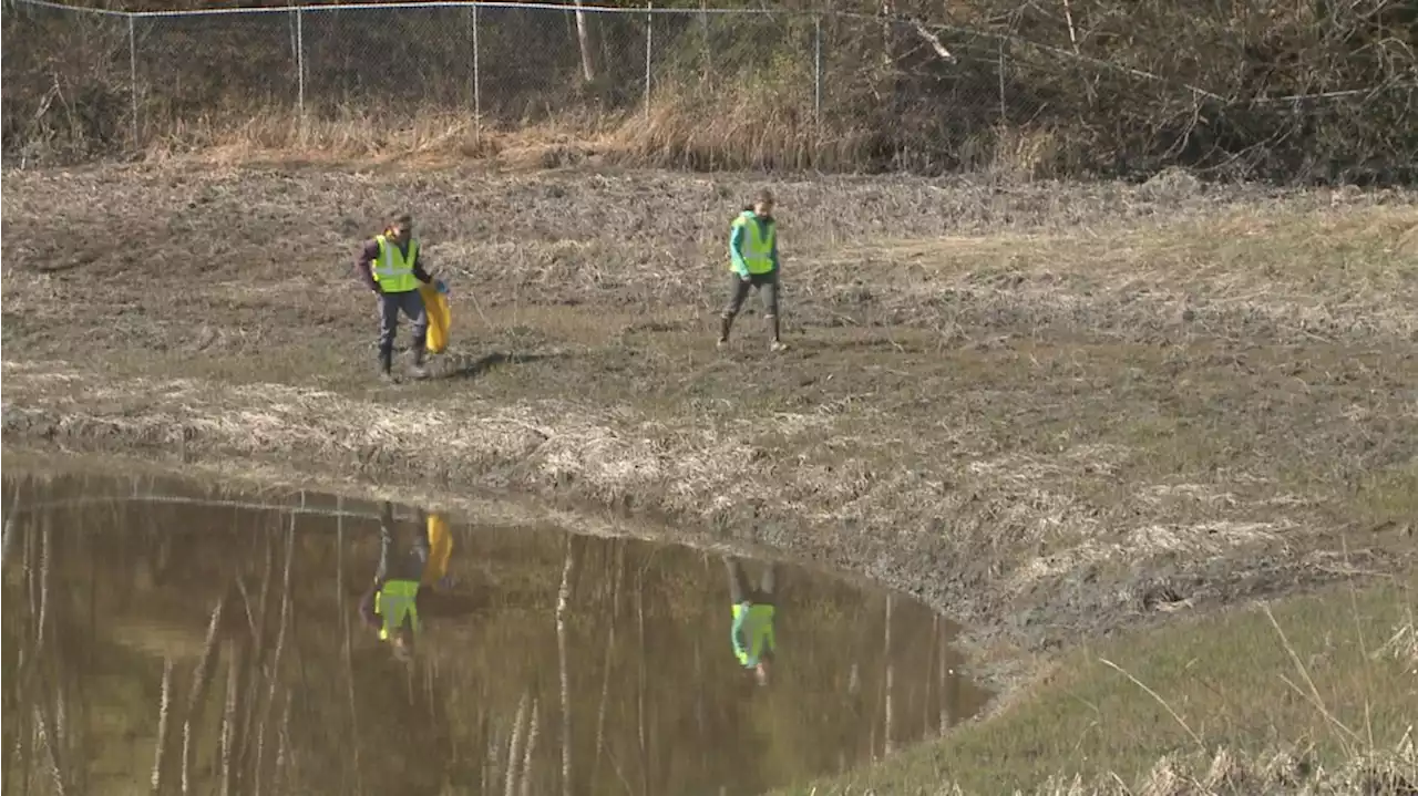 Anchorage Creek Cleanup gets underway