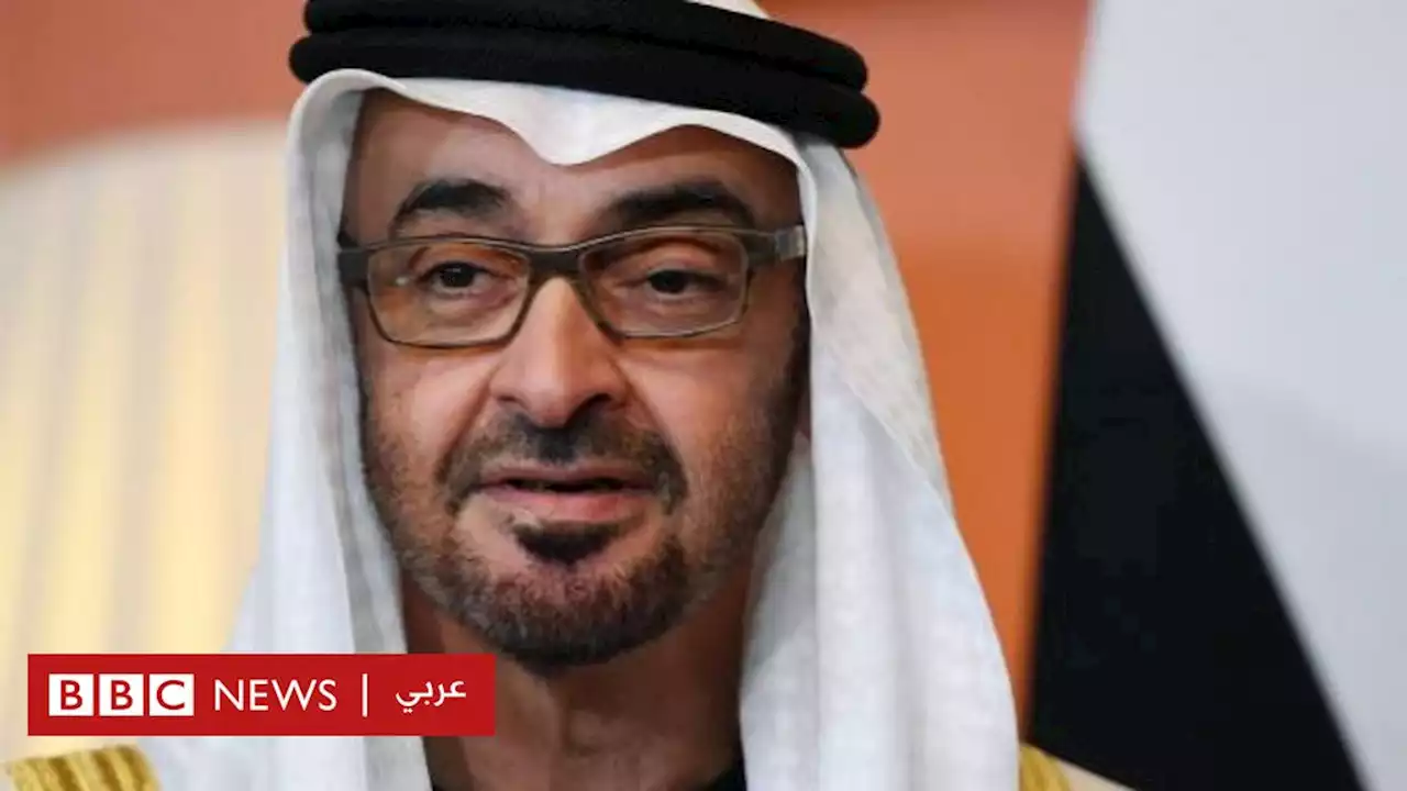 من هو الشيخ محمد بن زايد رئيس الإمارات الجديد؟ - BBC News عربي