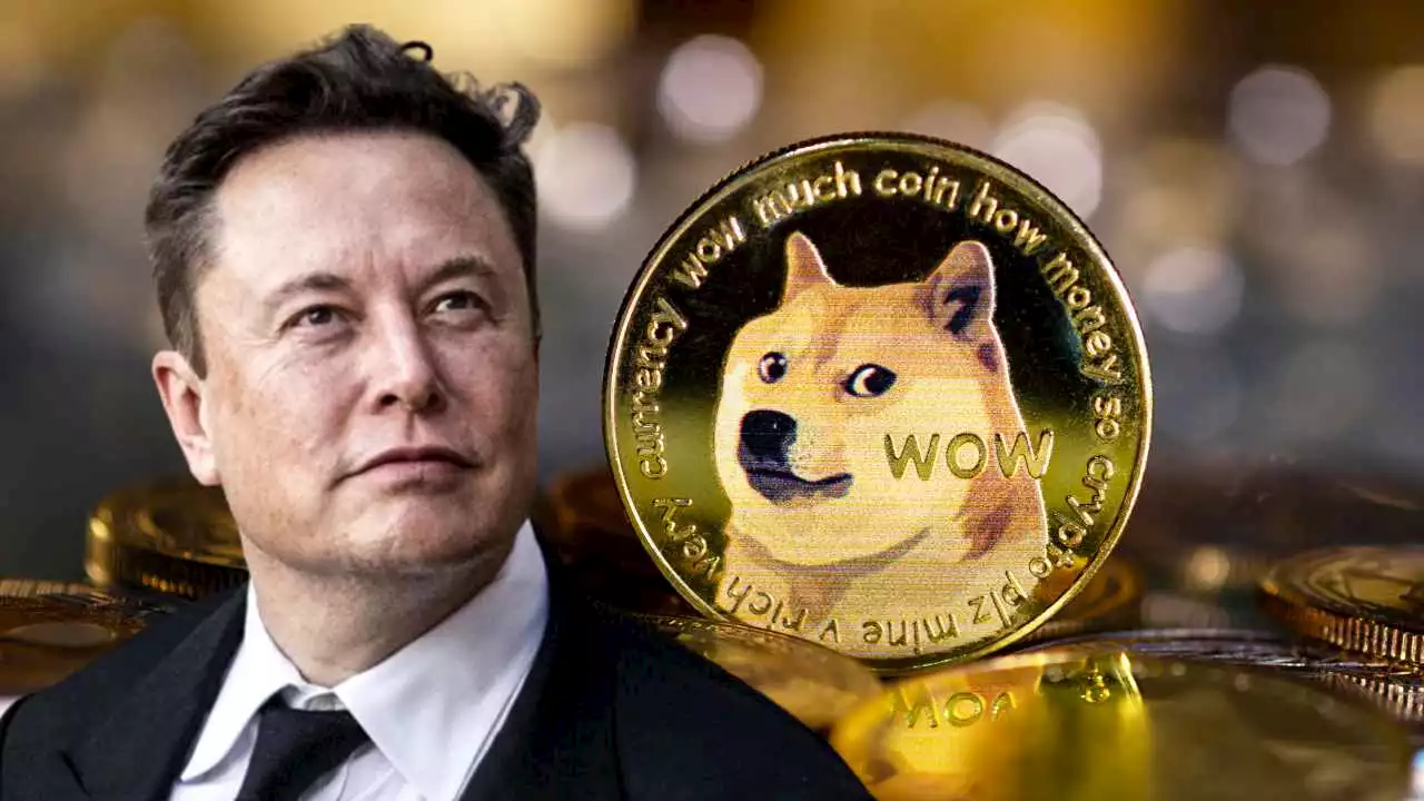 Tesla CEO Elon Musk Reaffirms Dogecoin 'Has Potential as a Currency' as Twitter Deal Is Put on Hold – Featured Bitcoin News