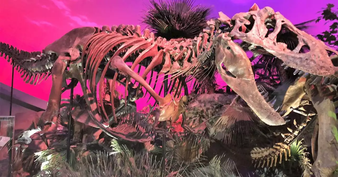 Roaring good time awaits at Indianapolis children’s museum newly expanded dinosaur exhibit