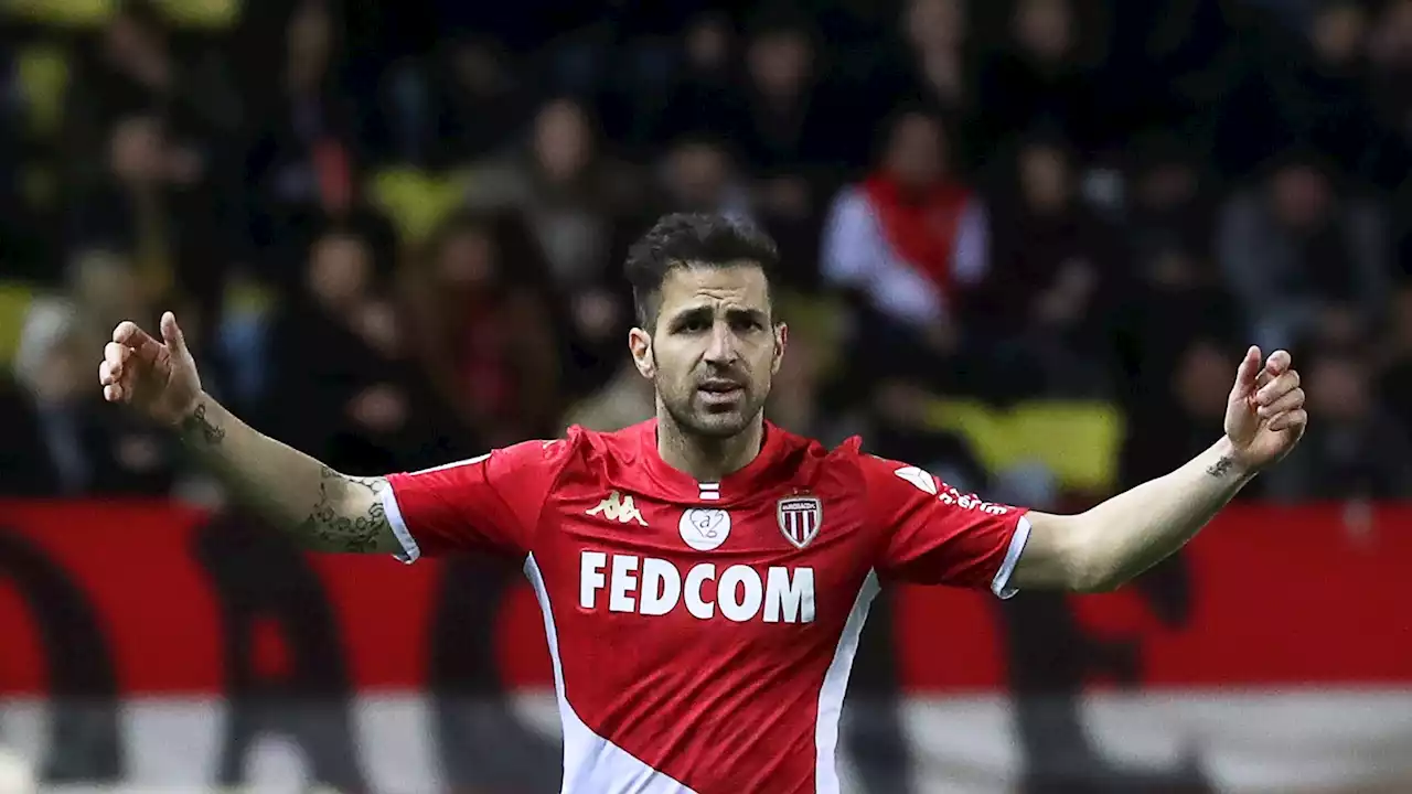 Jalani Musim Terburuk Dalam Kariernya, Cesc Fabregas Konfirmasi Tinggalkan AS Monaco | Goal.com