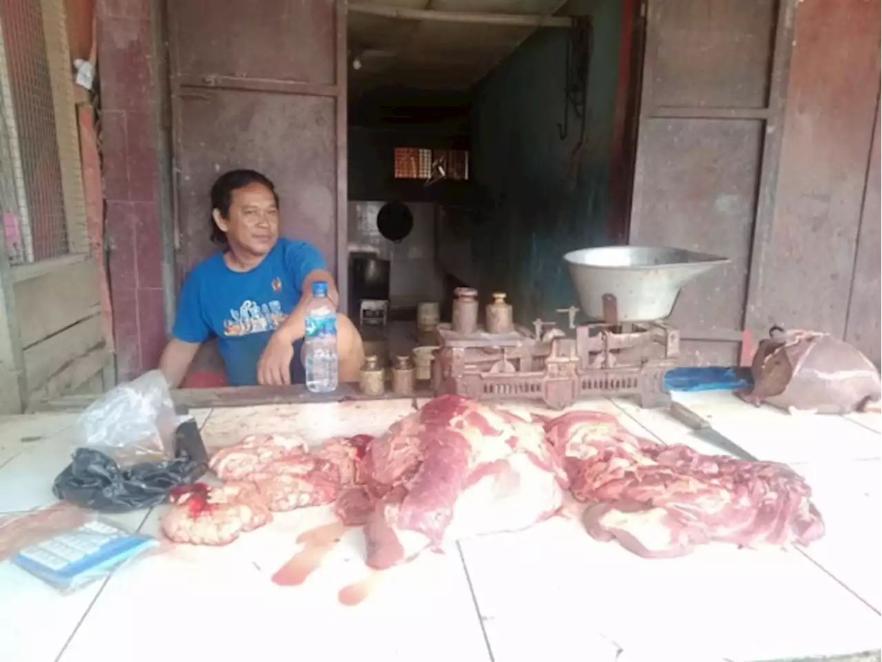 Harga Daging Sapi Kembali Normal