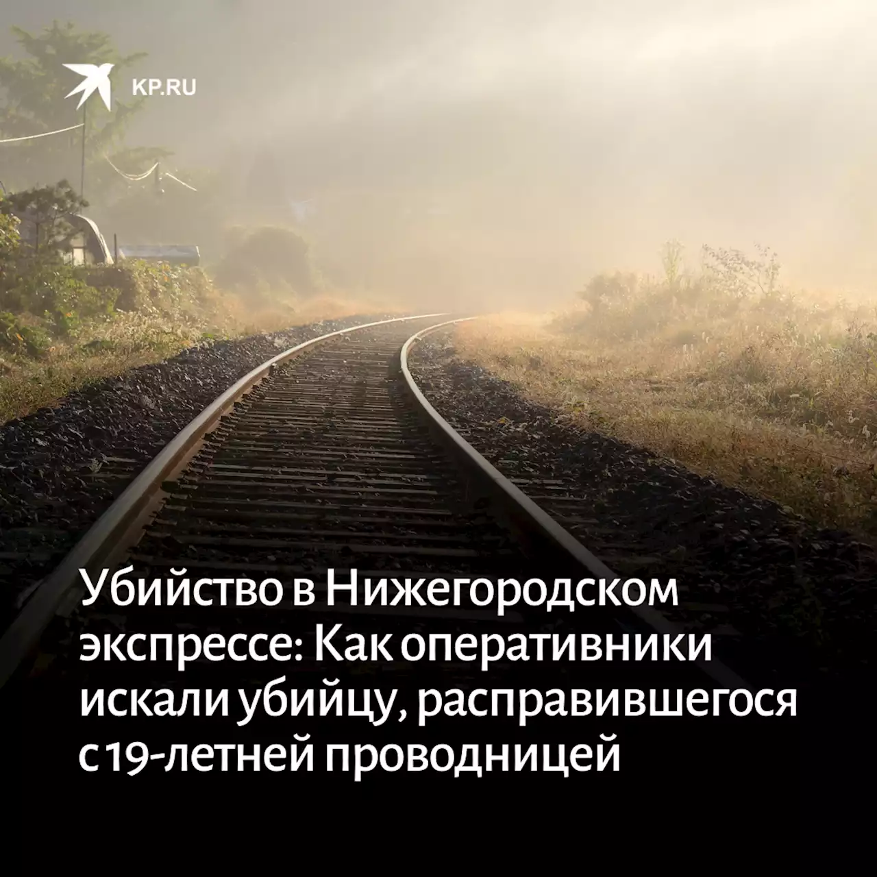 Убийство в Нижегородском экспрессе: Оперативники рассказали, как искали убийцу, расправившегося с 19-летней проводницей в Рождество