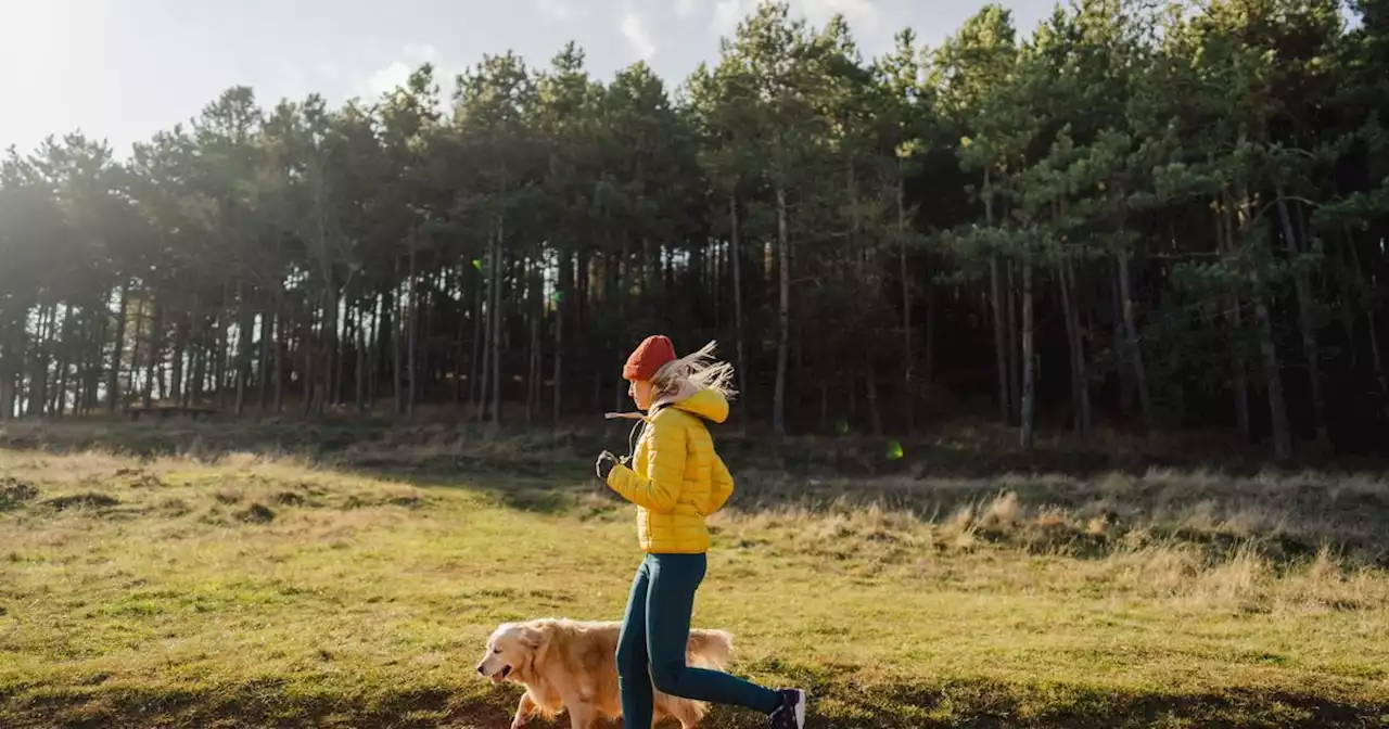 «Streak running» : est-il efficace de courir tous les jours ?