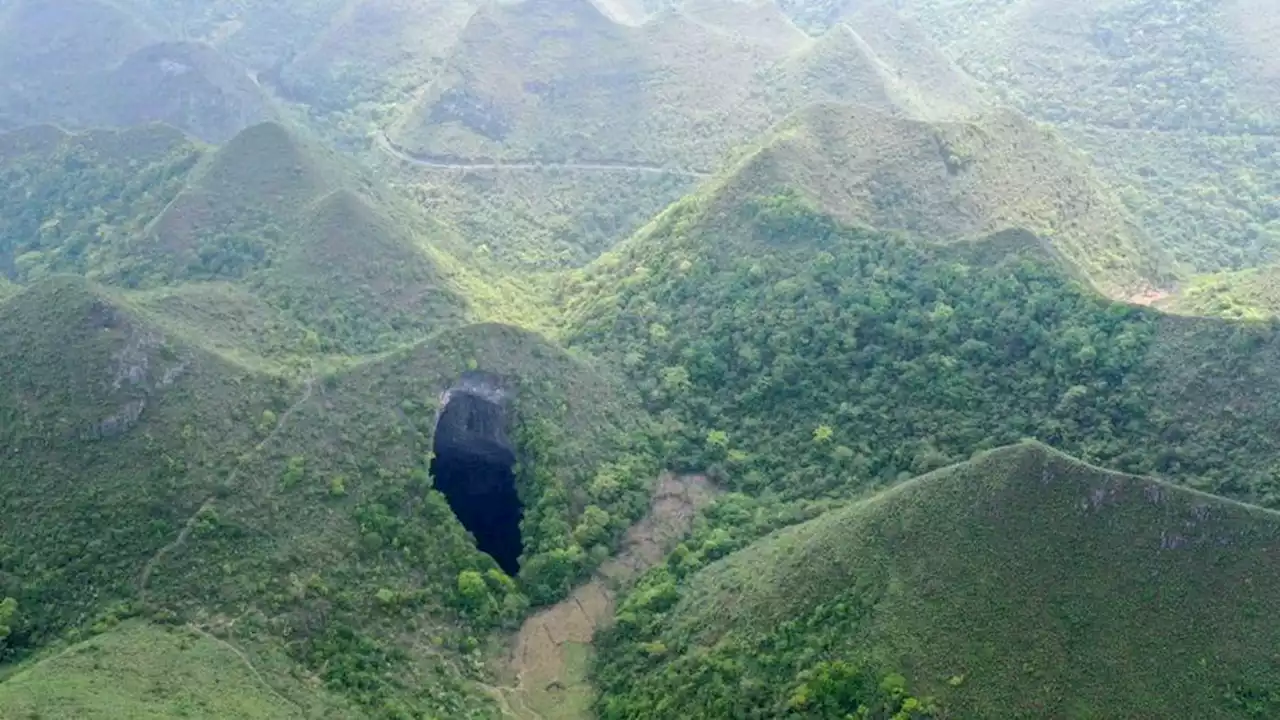 Descubren sumidero en China que contiene un antiguo bosque: podría incluir especies desconocidas