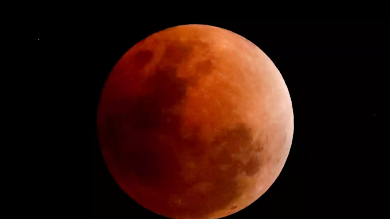 Eclipse de Luna de Sangre en mayo 2022: cuándo y dónde verlo mejor en la Argentina | Un espectáculo en el cielo