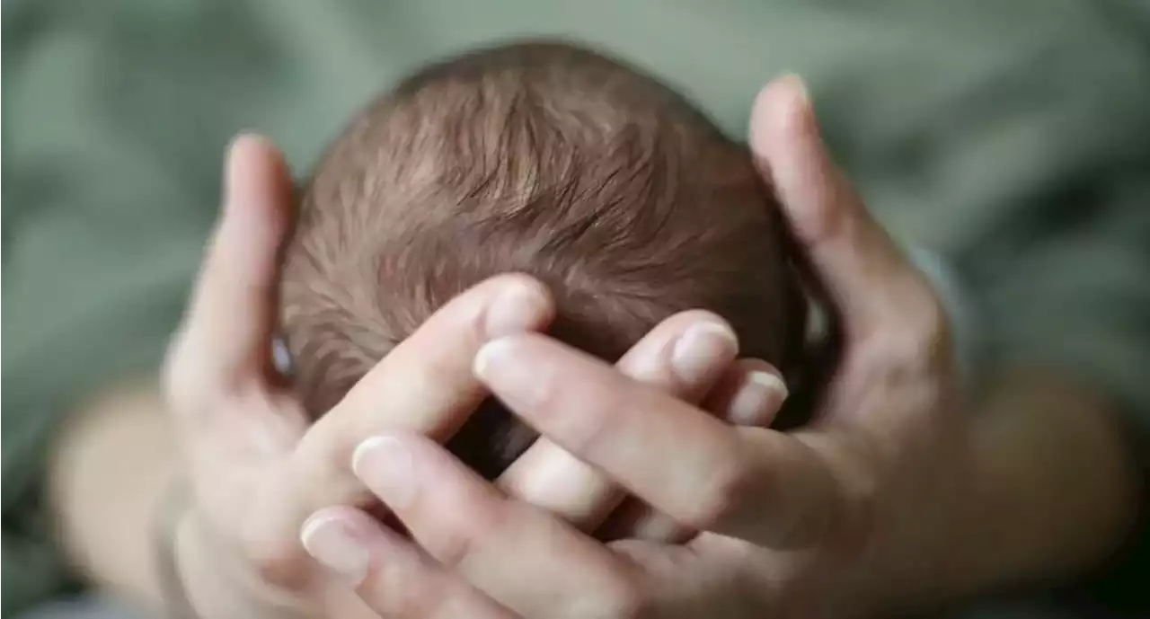 Expertos explican si calvear a los bebés es buenos para el crecimiento de su cabello - Pulzo