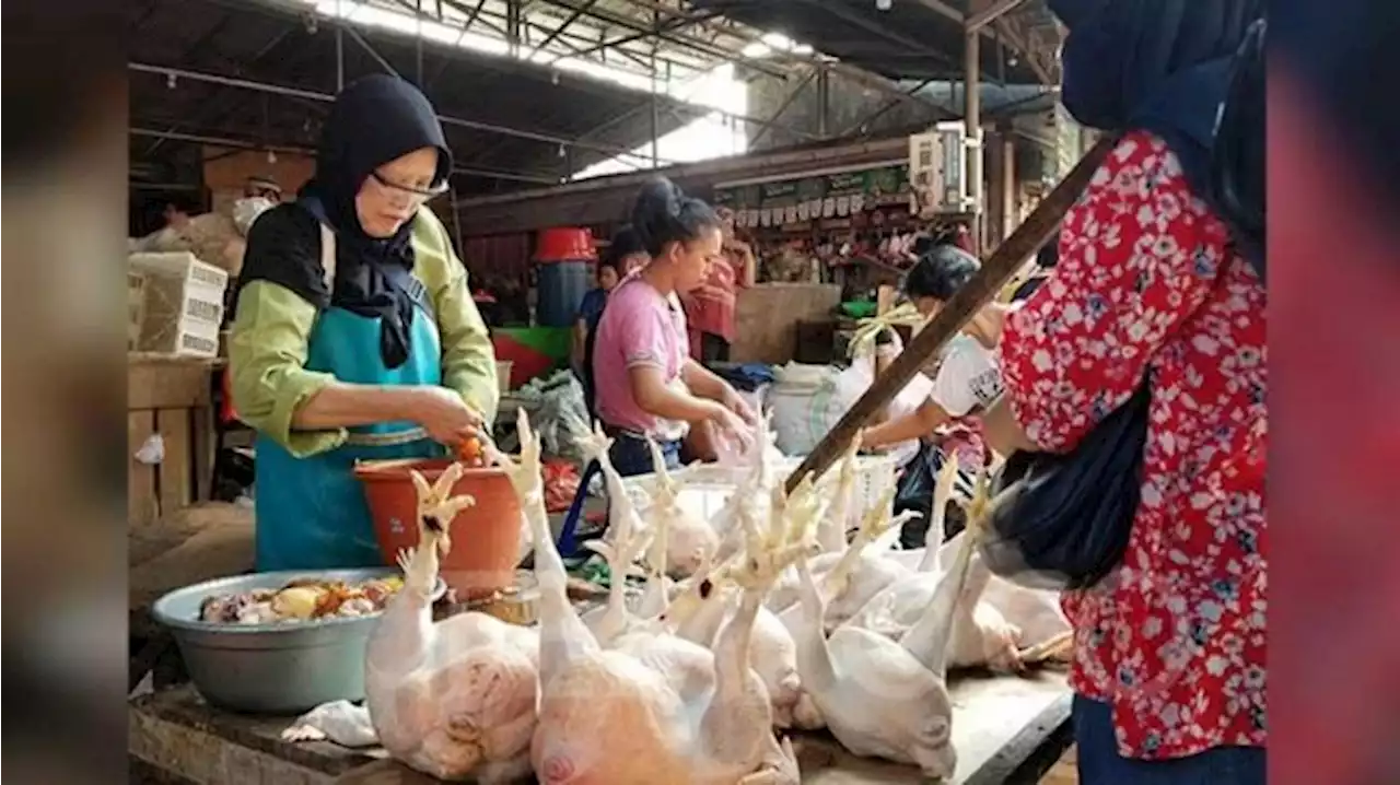 BI Perkirakan Inflasi 0,48 Persen pada Mei 2022, Daging Ayam Penyumbang Utama