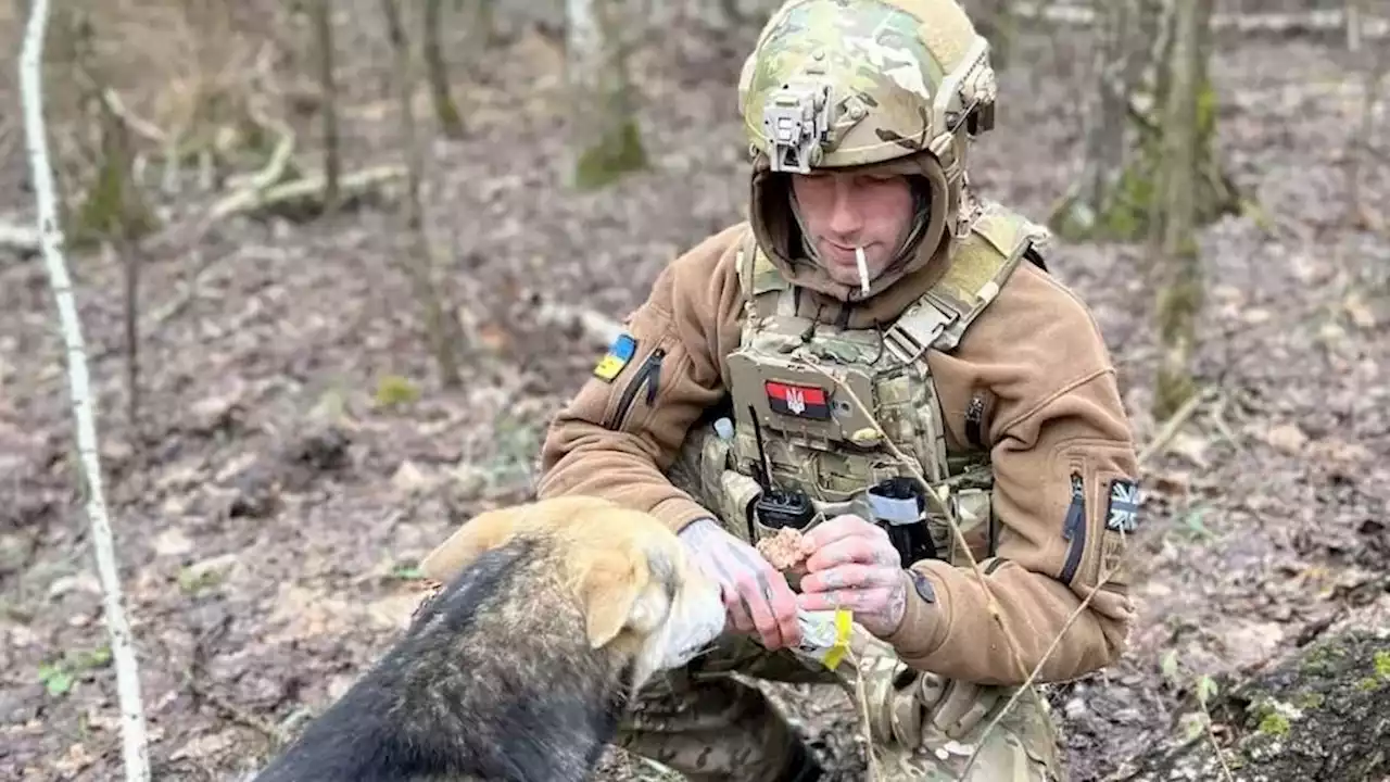 British tree surgeon who branched out into bomb disposal