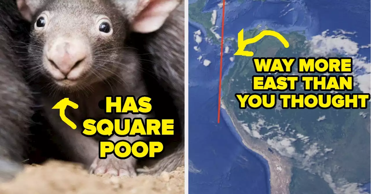 28 Facts That Are 100% True But Really Hard To Wrap Your Head Around