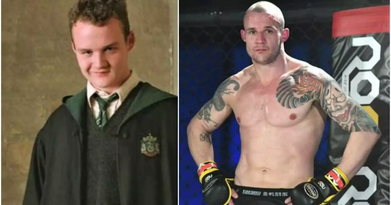 De estrella en Harry Potter a luchador de MMA: el cambio de vida de Joshua Herdman