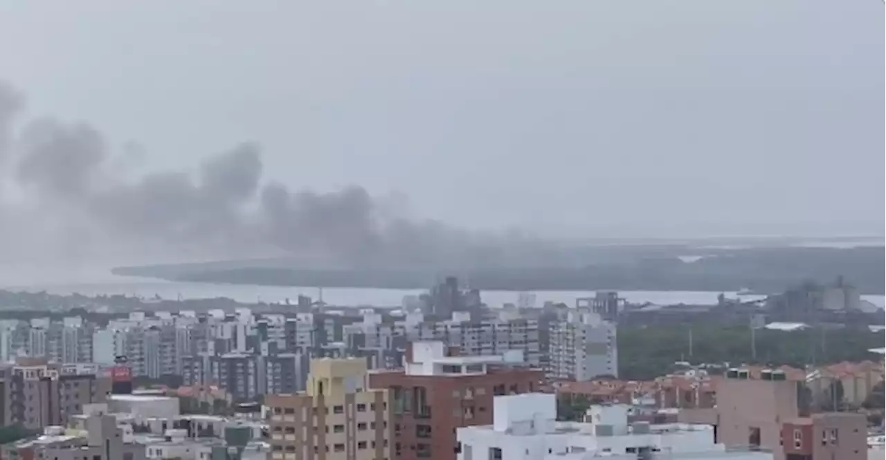 Reportan nuevo incendio en el Parque Isla Salamanca