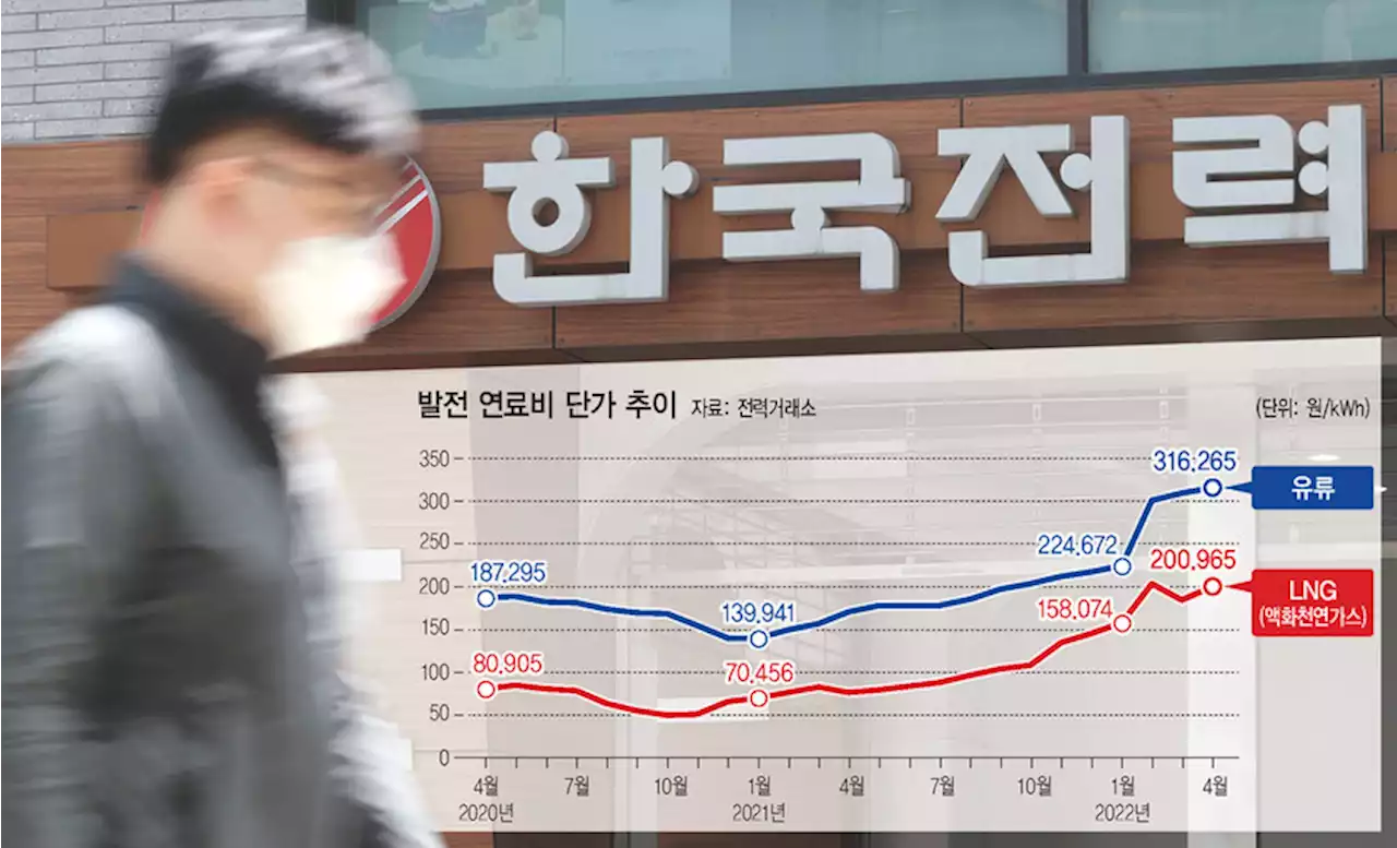 전기도매 202원에 사서 122원에 파는 한전…지속가능할까