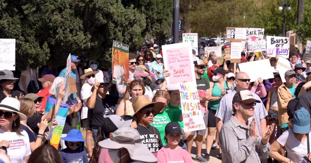 Massive Parenthood protest in Armory Park