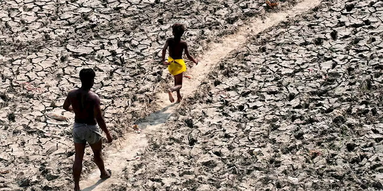 Canicules : l'enfer sur terre est pour bientôt