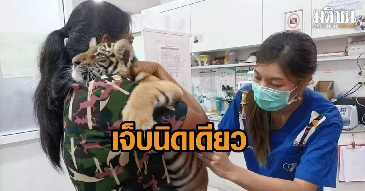 เมื่อแม่พาน้องขวัญไปฉีดวัคซีน