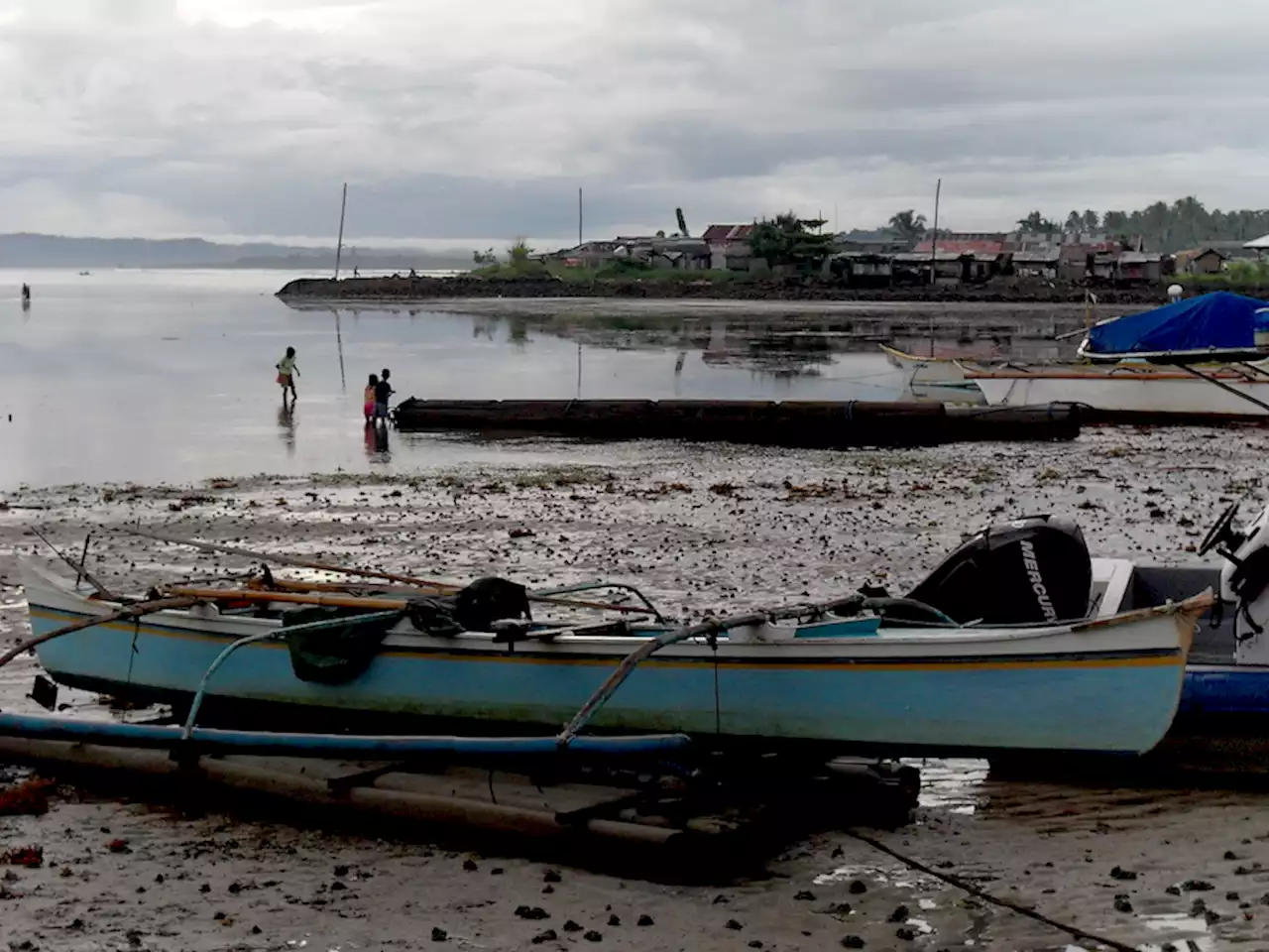 3 areas in Mindanao still positive for red tide