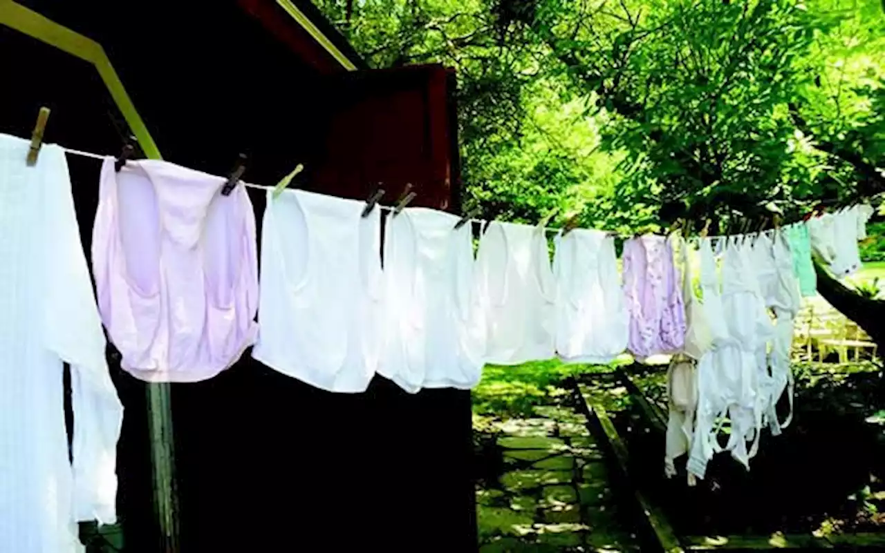 Why women should not wear underwear for more than 24 hours —Expert