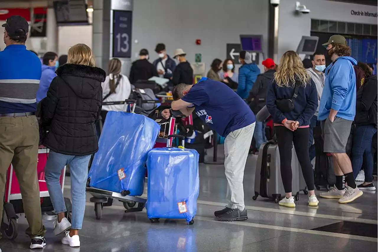 Toronto Pearson travellers face long waits as airport hit by double whammy of COVID screening and staff shortages