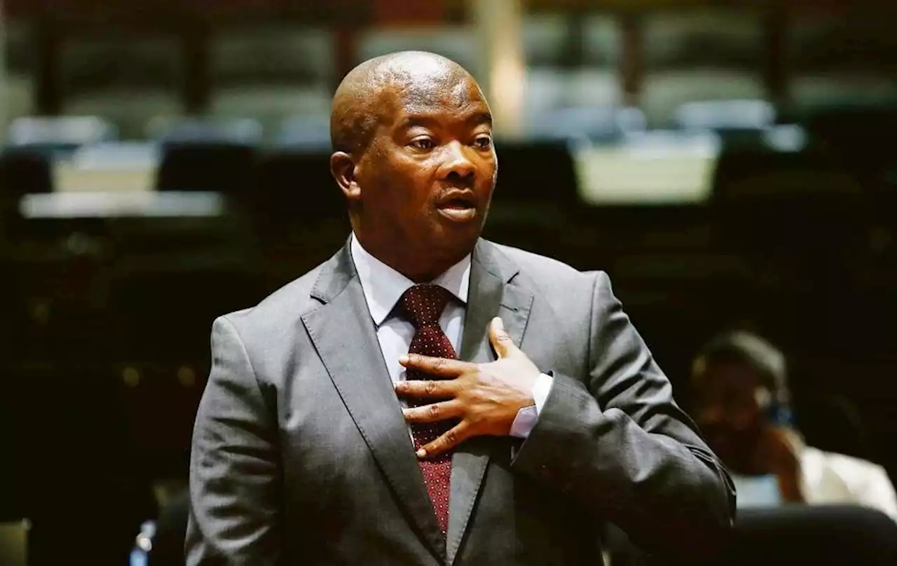 Holomisa sounds security alarm | Citypress