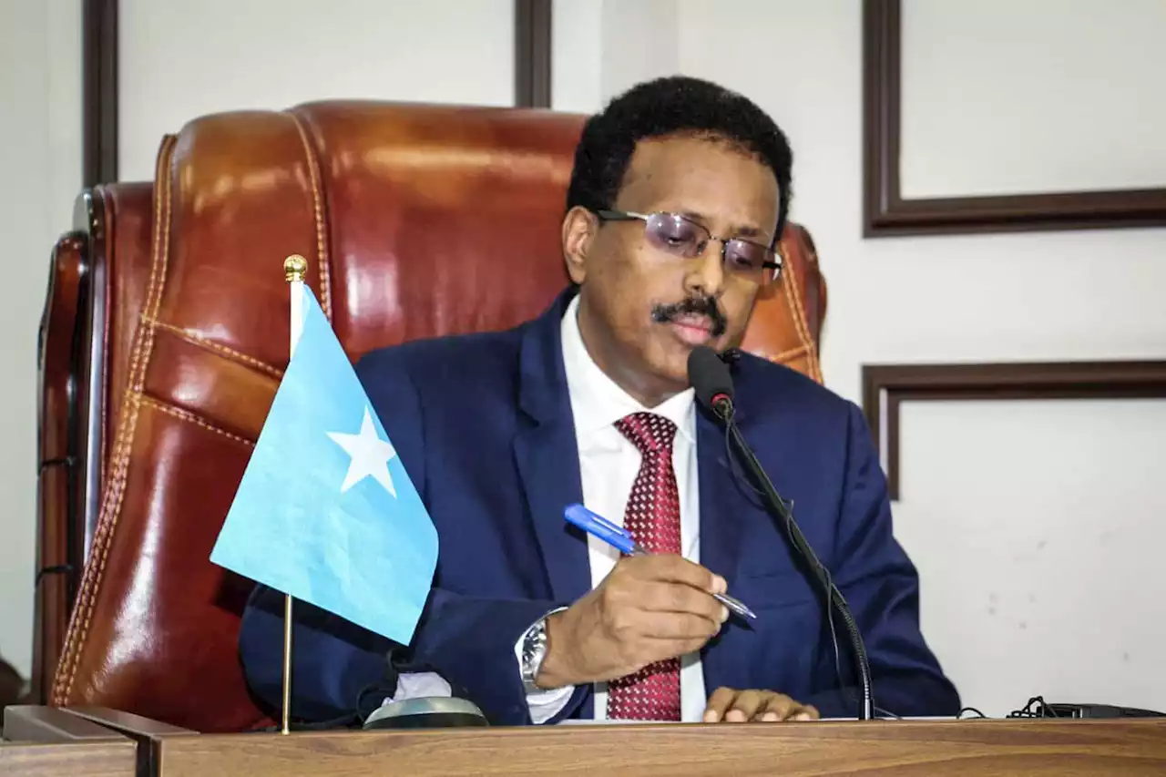 Somalia's MPs vote in long-delayed presidential election