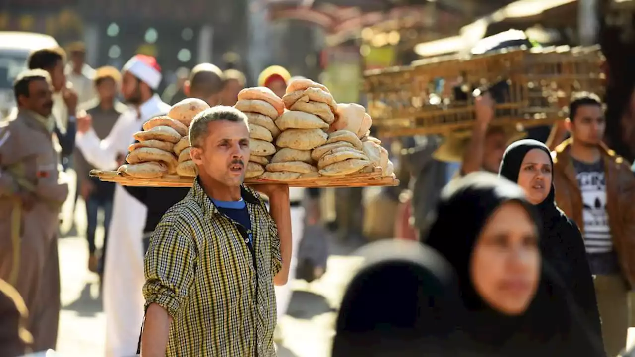 كم بلغت خسائر الاقتصاد المصري بسبب الأزمة الأوكرانية؟