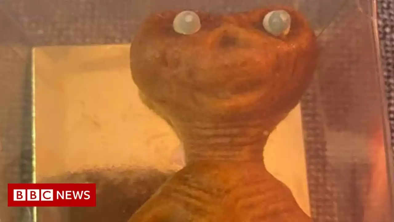 E.T. the Extra-Terrestrial marzipan model saved by St Albans family